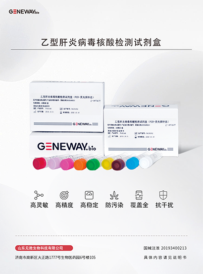 乙型肝炎病毒核酸檢測試劑盒